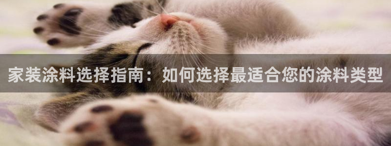 和记官方：家装涂料选择指南：如何选择最适合您的涂料类型