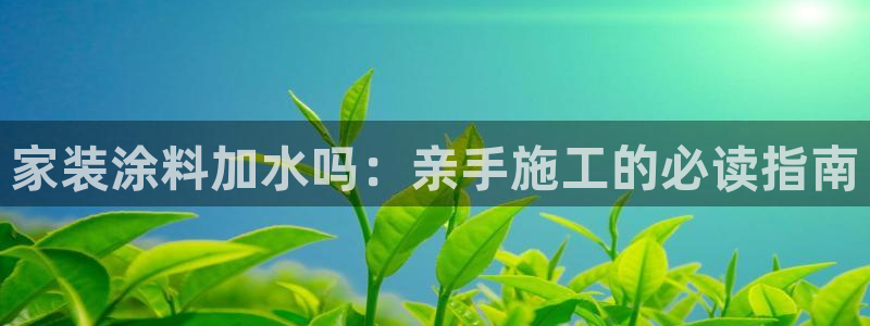 和记官方直营：家装涂料加水吗：亲手施工的必读指南