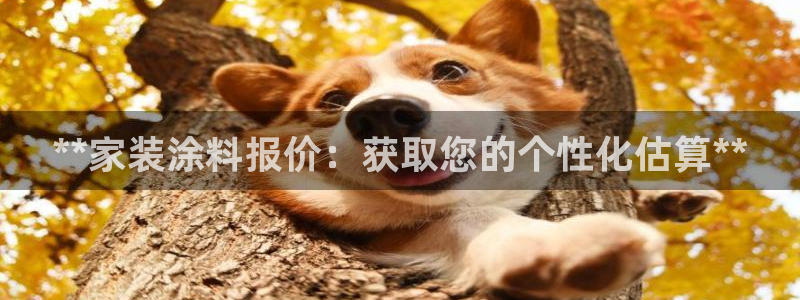 和记pc：**家装涂料报价：获取您的个性化估算**
