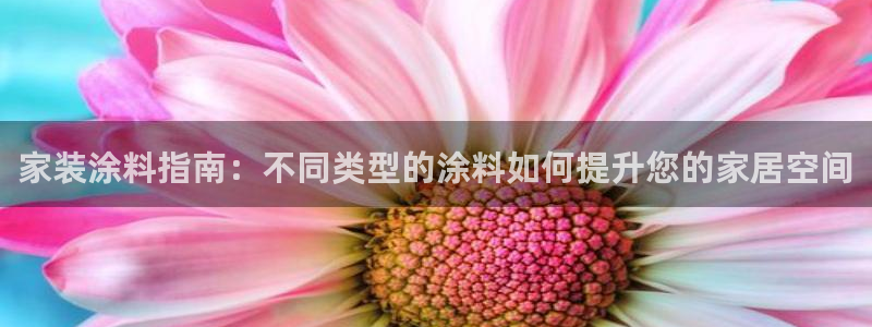 和记平台怎么样：家装涂料指南：不同类型的涂料如何提升您的家居空间