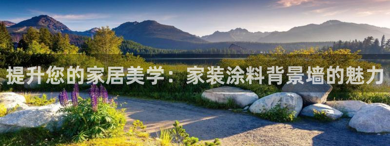 和记h88最新客户端下载：提升您的家居美学：家装涂料背景墙的魅力