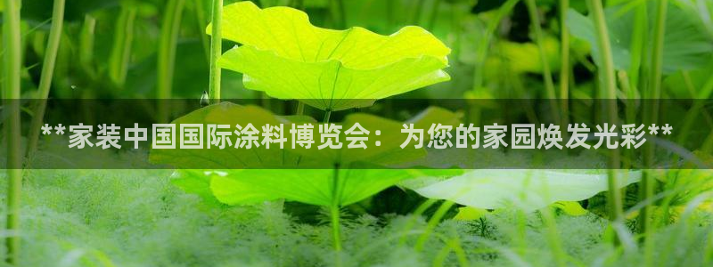 和记官网[中国]官方网站：**家装中国国际涂料博览会：为您的家园焕发光彩**