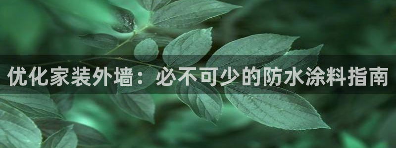 和记ag登录：优化家装外墙：必不可少的防水涂料指南
