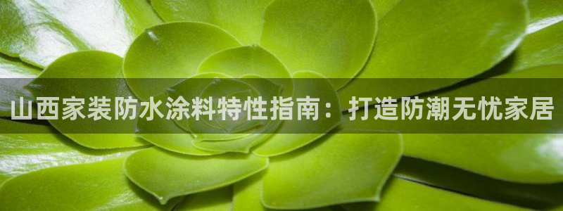 和记AG旗舰：山西家装防水涂料特性指南：打造防潮无忧家居