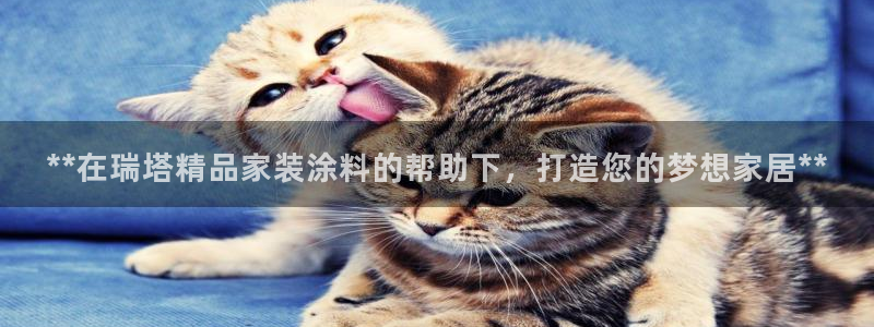 和记官网 公司：**在瑞塔精品家装涂料的帮助下，打造您的梦想家居**