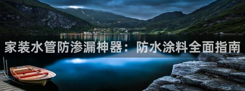 和记官方：家装水管防渗漏神器：防水涂料全面指南