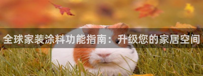 和记 官网：全球家装涂料功能指南：升级您的家居空间