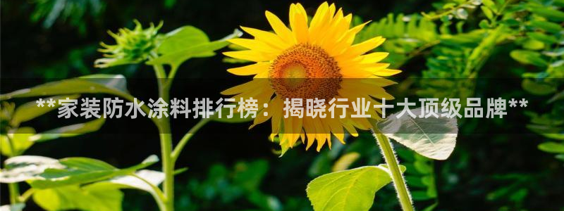 和记娱好网址：**家装防水涂料排行榜：揭晓行业十大顶级品牌**