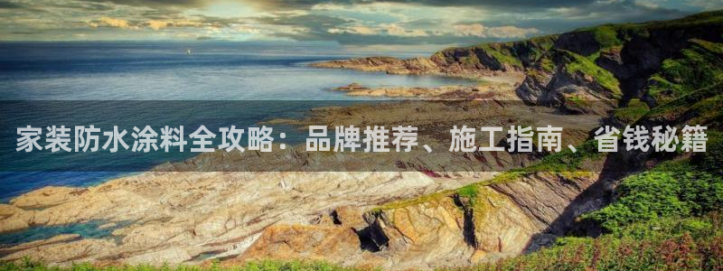 和记平台注册：家装防水涂料全攻略：品牌推荐、施工指南、省钱秘籍