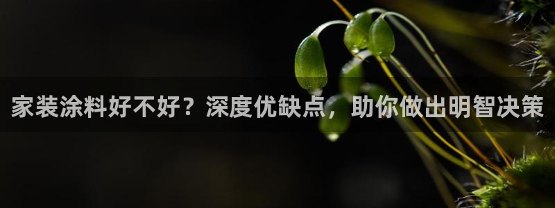和记官方直营注册导航：家装涂料好不好？深度优缺点，助你做出明智决策