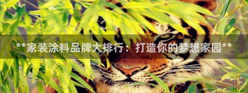 和记国际开户：**家装涂料品牌大排行：打造你的梦想家园**
