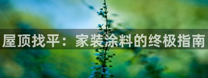 和记hj：屋顶找平：家装涂料的终极指南