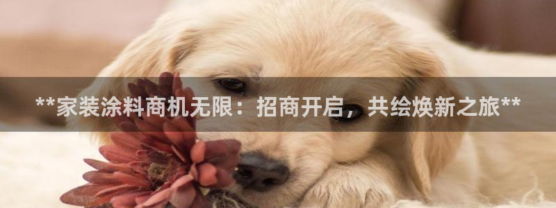 和记官方