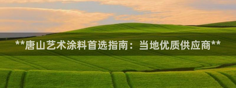 和记国际：**唐山艺术涂料首选指南：当地优质供应商**