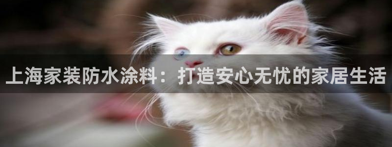 和记H88：上海家装防水涂料：打造安心无忧的家居生活