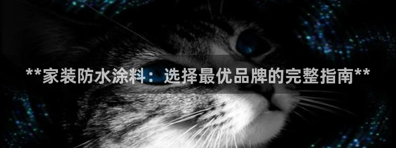 和记ag网址：**家装防水涂料：选择最优品牌的完整指南**