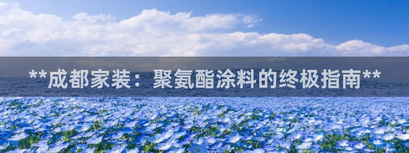 和记官网[中国]官方网站：**成都家装：聚氨酯涂料的终极指南**