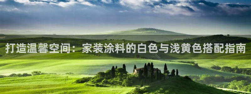 上海和记餐饮：打造温馨空间：家装涂料的白色与浅黄色搭配指南