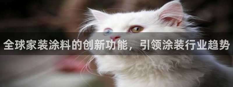 和记 中国官网：全球家装涂料的创新功能，引领涂装行业趋势