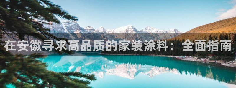 和记h88游戏：在安徽寻求高品质的家装涂料：全面指南