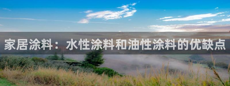 和记国际开户网站：家居涂料：水性涂料和油性涂料的优缺点