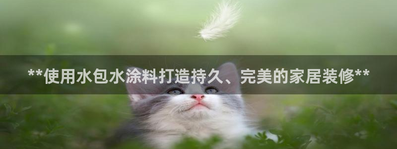 和记paging