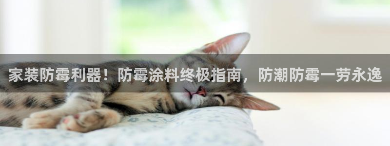 下载和记app：家装防霉利器！防霉涂料终极指南，防潮防霉一劳永逸