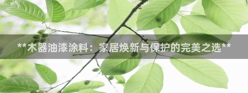 和记国际开户网站：**木器油漆涂料：家居焕新与保护的完美之选**