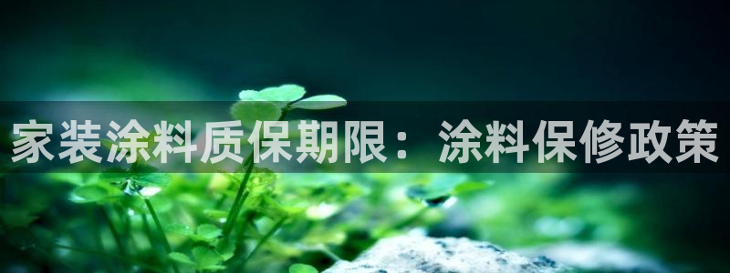 和记hj：家装涂料质保期限：涂料保修政策