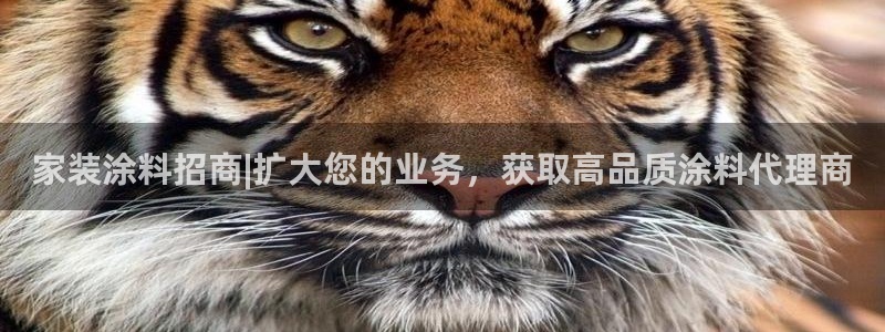 和记最新官方网址：家装涂料招商|扩大您的业务，获取高品质涂料代理商
