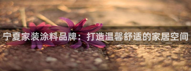 和记网页版登陆：宁夏家装涂料品牌：打造温馨舒适的家居空间