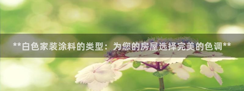 和记官方直营注册：**白色家装涂料的类型：为您的房屋选择完美的色调**