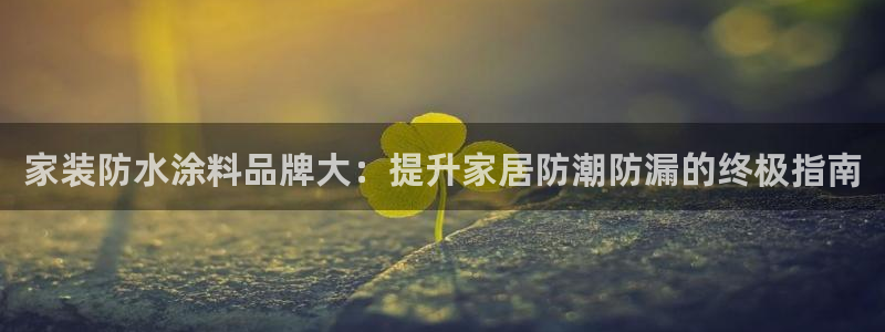 和记ag旗舰厅：家装防水涂料品牌大：提升家居防潮防漏的终极指南