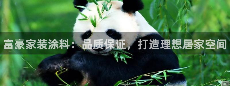 和记网页版：富豪家装涂料：品质保证，打造理想居家空间