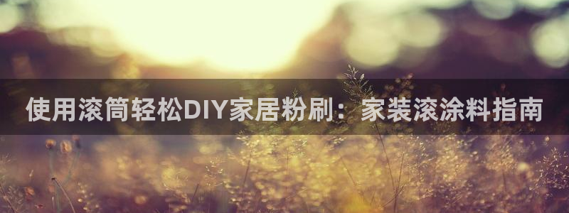 上海和记餐饮：使用滚筒轻松DIY家居粉刷：家装滚涂料指南