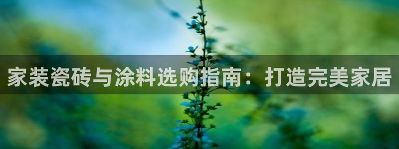 和记h8：家装瓷砖与涂料选购指南：打造完美家居