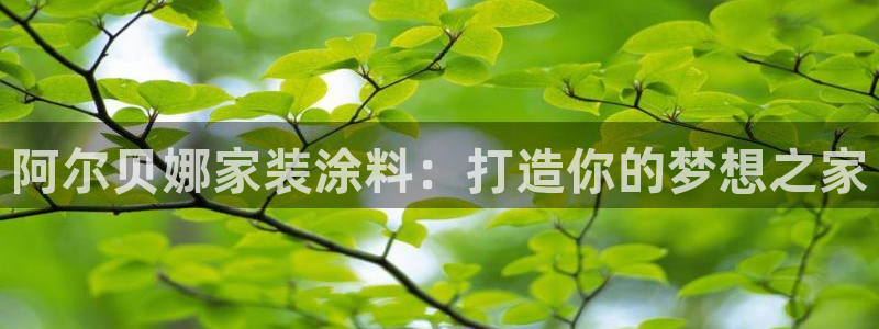 和记hj：阿尔贝娜家装涂料：打造你的梦想之家