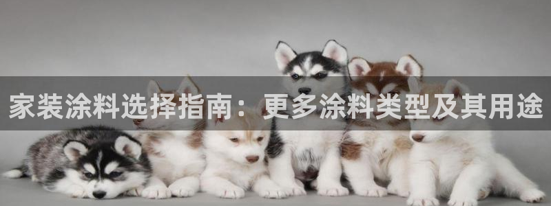 和记paging