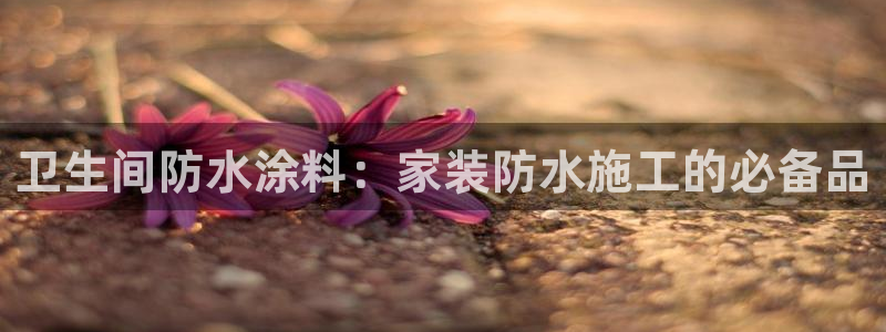 和记app官网