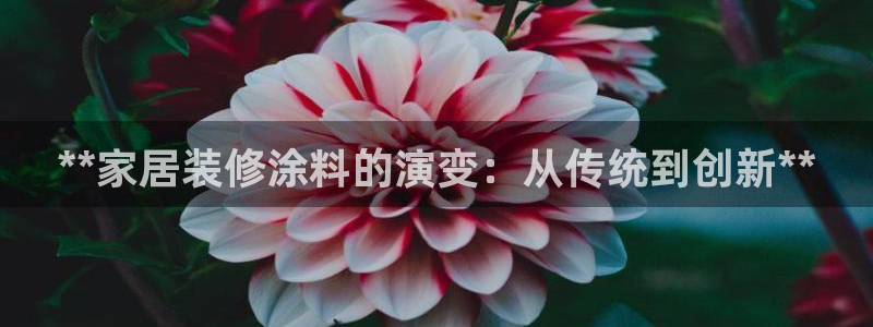 和记国际