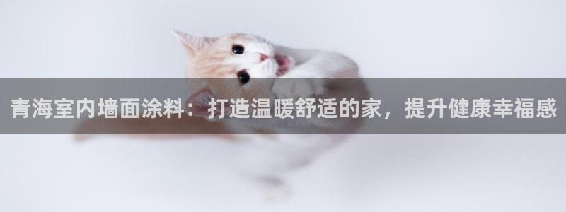 和记国际