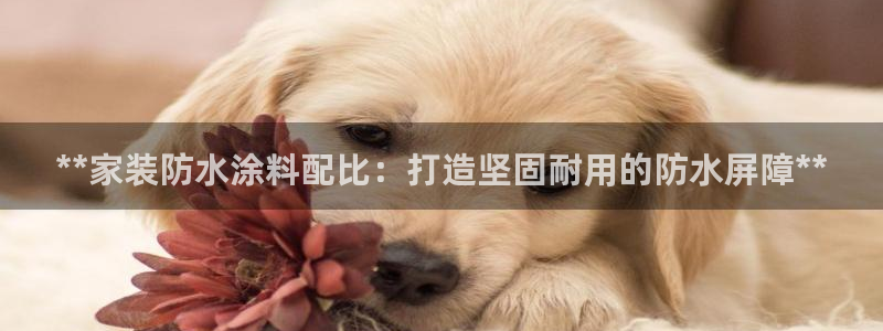 和记官网首页