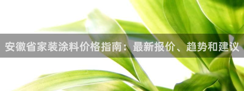 和记hj：安徽省家装涂料价格指南：最新报价、趋势和建议