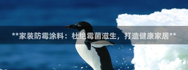和记h188：**家装防霉涂料：杜绝霉菌滋生，打造健康家居**