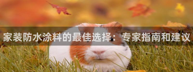 和记官方直营注册导航：家装防水涂料的最佳选择：专家指南和建议