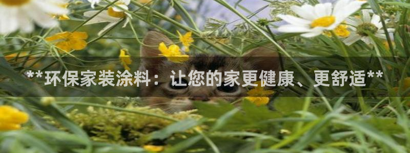 和记H88：**环保家装涂料：让您的家更健康、更舒适**