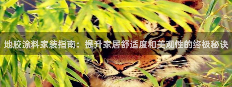 和记H88：地胶涂料家装指南：提升家居舒适度和美观性的终极秘诀