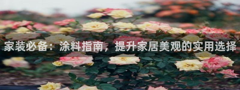 和记国际：家装必备：涂料指南，提升家居美观的实用选择