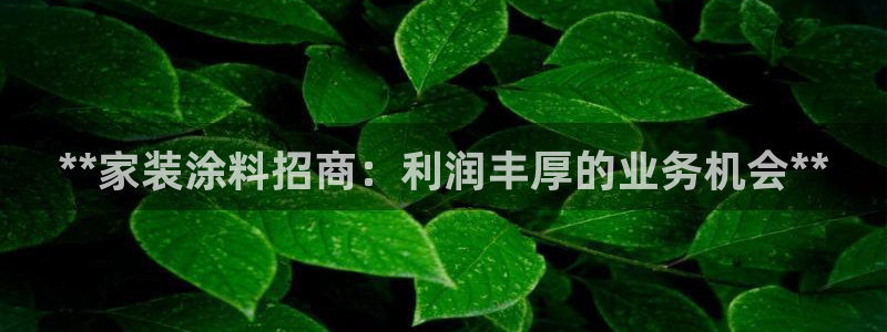 和记Ag：**家装涂料招商：利润丰厚的业务机会**