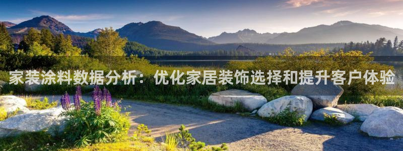 和记官网官方网站：家装涂料数据分析：优化家居装饰选择和提升客户体验